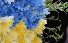 Лише через рік і два місяці на щиті повернувся до рідного міста житомирянин Руслан Невмержицький