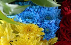 Через дев’ять місяців на щиті повернувся до рідного Житомира Олександр Заторський