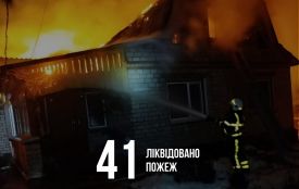 За минулий тиждень підрозділи ДСНС Житомирщини 82 рази залучалися до ліквідації різних надзвичайних подій