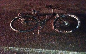 Упродовж вихідних на автошляхах у Житомирському районі смертельно травмовано велосипедиста та пішохода