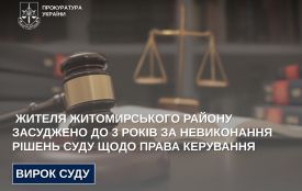 Жителя Житомирського району засуджено до 3 років за невиконання рішень суду щодо права керування