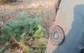 22 порушення зафіксовано на Житомирщині в ході операції «Новорічна ялинка»