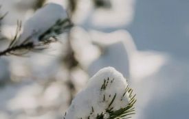 Завтра, 8 січня, південний циклон зумовить в Україні погіршення погоди — опади у вигляді снігу і дощу