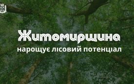 На Житомирщині для заліснення передано понад 3,8 тис. га земель
