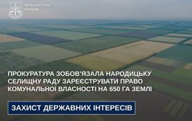 Прокуратура зобов’язала Народицьку селищну раду зареєструвати право комунальної власності на 650 га землі