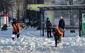Житомир прибирають від снігу: залучені комунальні служби, ОСББ та керуючі компанії