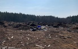 Екоінспекція Поліського округу спільно з прокуратурою відстоюють відшкодування понад 1,6 млн грн збитків за забруднення земель ДСГП «Ліси України»