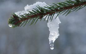 Послаблення морозів та опадів в Україні можна очікувати після 22 січня
