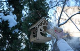 У Житомирі стартував конкурс годівничок для птахів — приєднуйтесь!