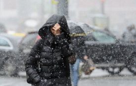 У Житомир йде потепління — температура підвищиться, а опадів побільшає