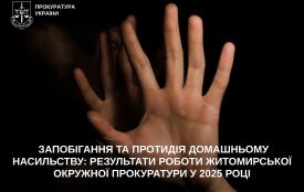 Запобігання та протидія домашньому насильству: результати роботи Житомирської окружної прокуратури у 2025 році
