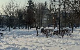 24 січня: яке сьогодні свято, прикмети і заборони, прогноз погоди у Житомирі