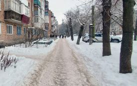 У Коростені поліцейські затримали чоловіка, підозрюваного в замаху на вбивство співмешканки та її дитини