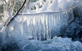 На Житомирщині — складні погодні умови: мокрий сніг з переходом у льодяний дощ