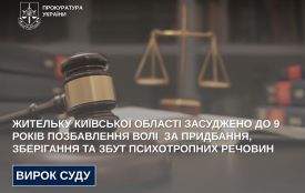 Жительку Київської області засуджено до 9 років позбавлення волі  за придбання, зберігання та збут психотропних речовин