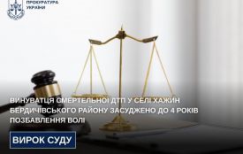 Винуватця смертельної ДТП у селі Хажин Бердичівського району засуджено до 4 років позбавлення волі