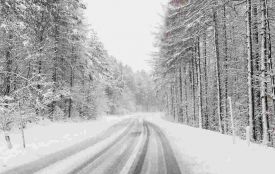 Сніг, часом з дощем, ожеледь і помірний мороз — погода у Житомирі