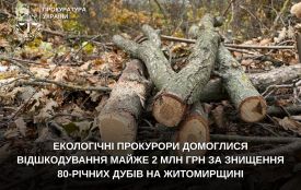 Екологічні прокурори домоглися відшкодування майже 2 млн грн за знищення 80-річних дубів на Житомирщині