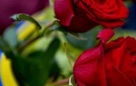 У Житомирі провели в останню путь мужнього Воїна Максима Нижника