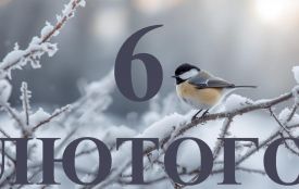 6 лютого: все про цей день, яке церковне свято, традиції і погода у Житомирі