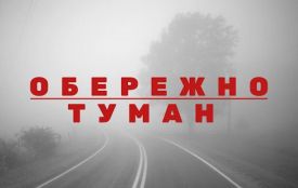 Увага! На Житомирщині туман 1-го рівня небезпеки