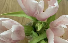 13 лютого: яке сьогодні свято, прикмети та заборони, прогноз погоди у Житомирі