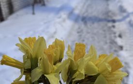 15 лютого: яке сьогодні свято, прикмети та заборони, прогноз погоди у Житомирі