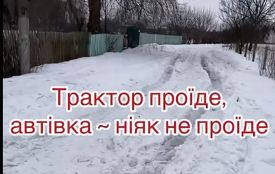 Забріддя на колінах: як дороги Житомирського району перетворили життя селян на виживання