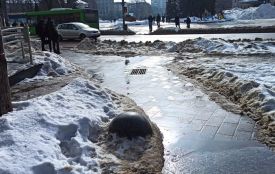 Дві біди по-житомирськи: дороги тануть, зупинки стають небезпечними