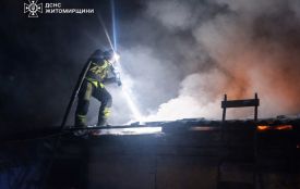 Рятувальники ліквідували пожежу у приватному господарстві на Коростенщині