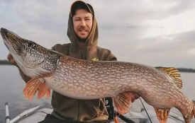 З 15 лютого стартувала нерестова заборона на вилов щуки