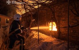 У Бердичеві внаслідок пожежі в гаражі згорів автомобіль