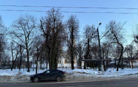 21 лютого: яке сьогодні свято, традиції і заборони, прогноз погоди у Житомирі