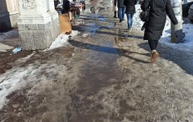 Суцільна «ковзанка» у Житомирі: вулиця Вітрука перетворилася на небезпечну для пішоходів трасу