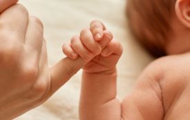 Від початку 2026 року на Житомирщині вже з’явилося на світ 757 дітей