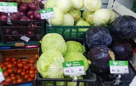 Продуктова інфляція в Україні та Житомирській області: чому ціни зростають і як це відчувають житомиряни