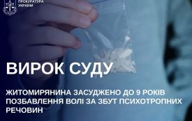 Житомирянина засуджено до 9 років позбавлення волі за збут психотропів