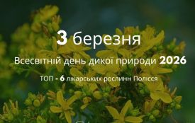 Всесвітній день дикої природи та природа Полісся: ліки, спадщина і майбутнє