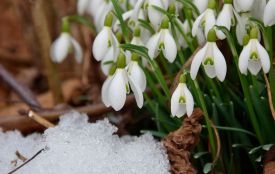 Найближчими днями в Україні буде тепло і вітряно, похолодає з 9 березня