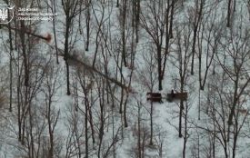 Незаконну порубку дерев виявили екологи в Пулинській громаді за допомогою дрона