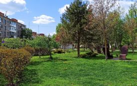 У Житомирі минулого року висадили 1098 дерев і 3730 кущів