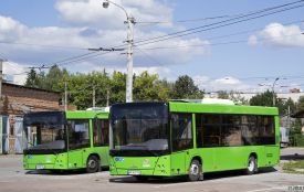 У Житомирі зменшилася кількість автобусів на маршрутах — бракує фінансів і водіїв