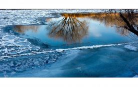 Увага! На водоймах міста — тонка крига, будьте обережні!