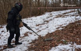 У житомирському Гідропарку знайшли вибухонебезпечний предмет часів Другої світової війни