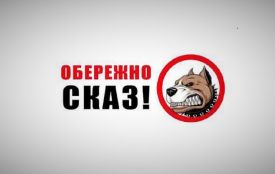 У Житомирі зафіксовано випадок сказу у тварини на Київському шосе