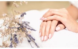 Топ-3 бази для “складних” нігтів: які обрати майстру манікюру (Новини компаній)