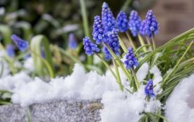 11 березня: все про цей день, яке церковне свято, прикмети і погода у Житомирі