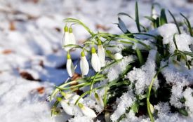 Похолодання і мокрий сніг: незабаром погода зміниться