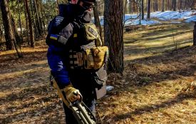 У лісі поблизу Малина виявили два артилерійські снаряди часів Другої світової