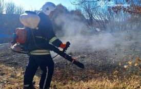 Дитячі пустощі з вогнем спричинили пожежу сухостою